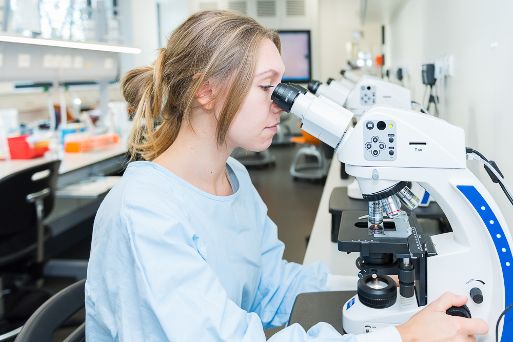 Klinikum Karlsruhe Medizinisch Technische R Laboratoriumsassistent In