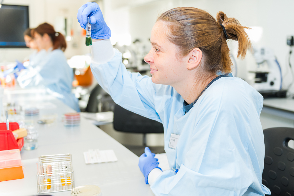 Klinikum Karlsruhe Medizinisch Technische R Laboratoriumsassistent In