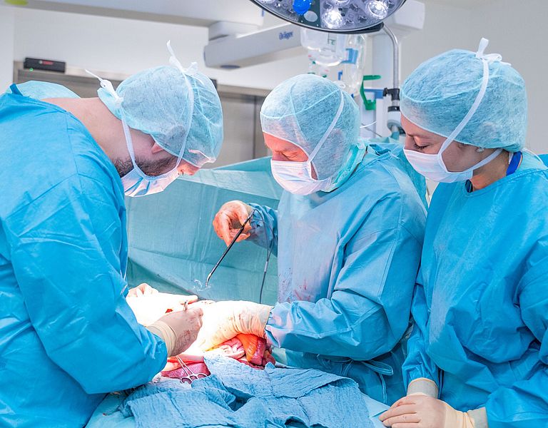 Das Bild zeigt eine Operation in Haus M.