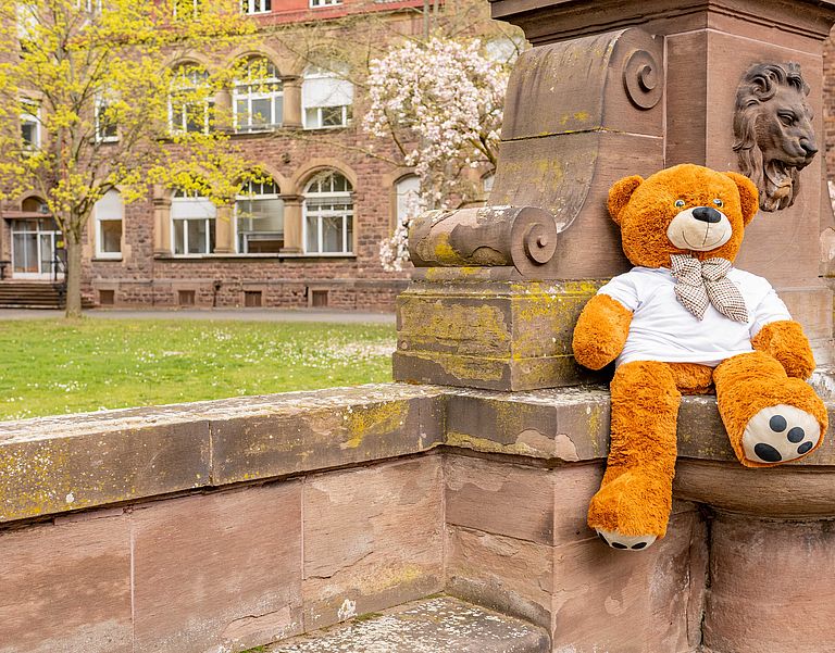 Das Bild zeigt einen großen Teddybären.
