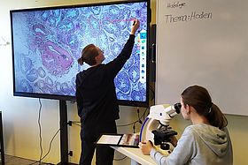 Das Bild zeigt das Bild des Mikroskops auf der Tafel