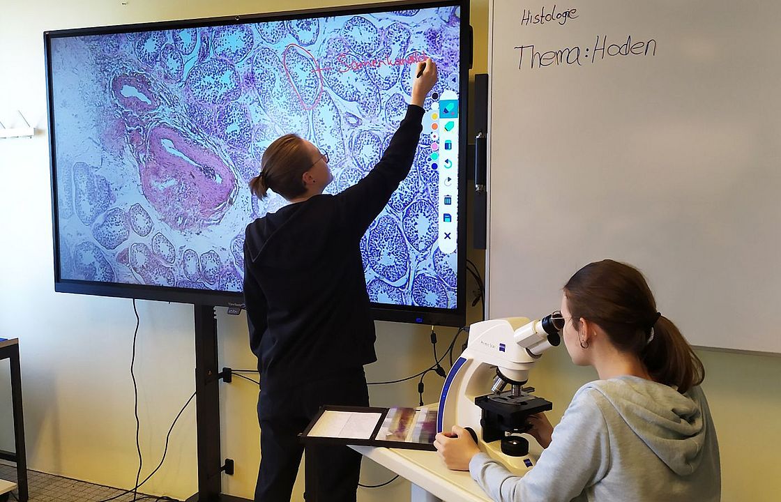 Das Bild zeigt das Bild des Mikroskops auf der Tafel