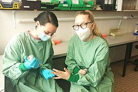 Kapilläre Blutentnahme