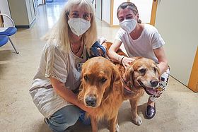 Das Bild zeigt tiergestützte Therapeutin Sylvia Bachofer, Jimmy, Elvyn und Dorothee Kolter vom StaeB-Team.