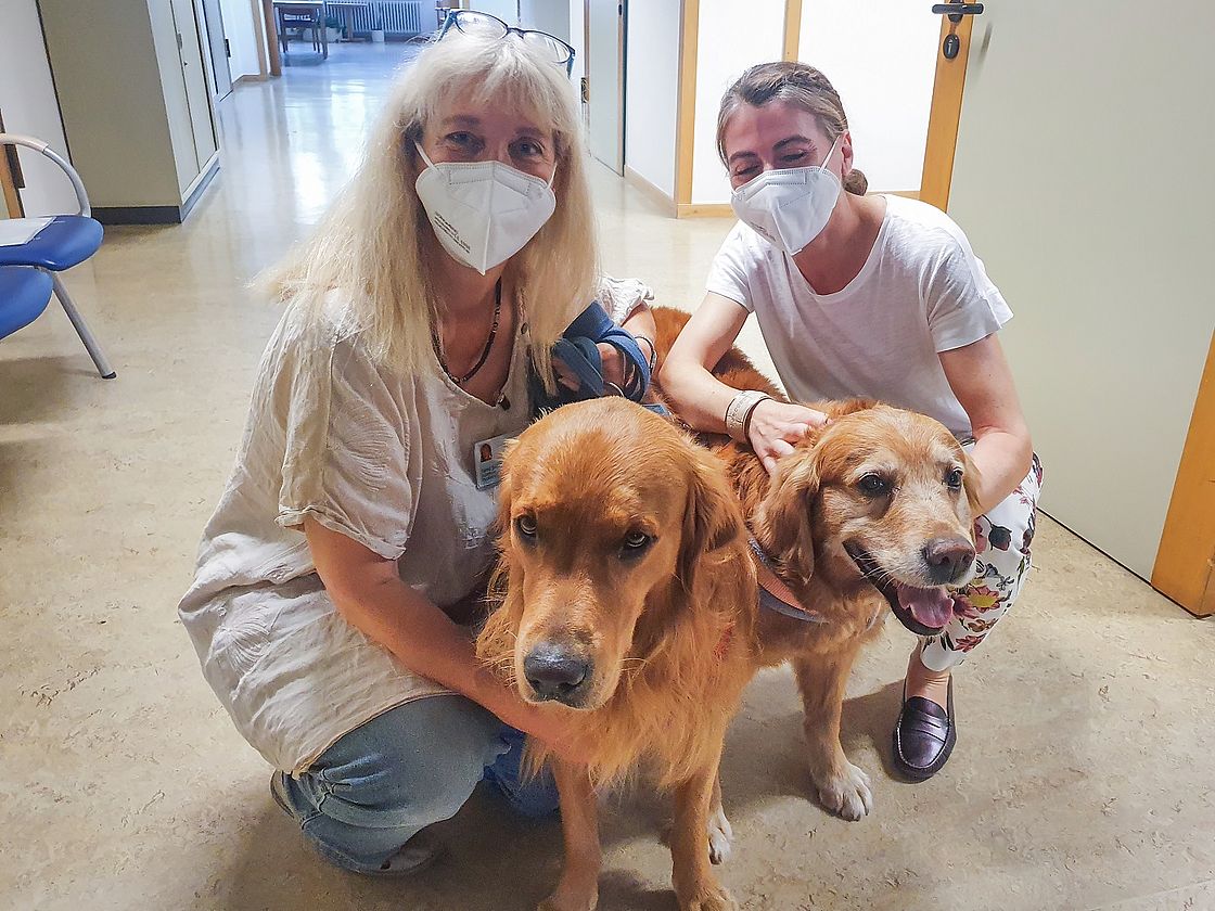 Das Bild zeigt tiergestützte Therapeutin Sylvia Bachofer, Jimmy, Elvyn und Dorothee Kolter vom StaeB-Team.