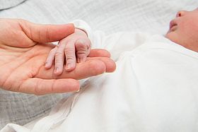 Das Bild zeigt eine Babyhand in der Hand eines Erwachsenen