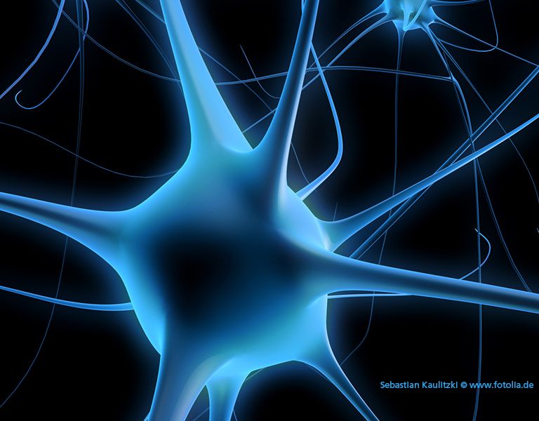 Das Bild zeigt eine Nervenzelle