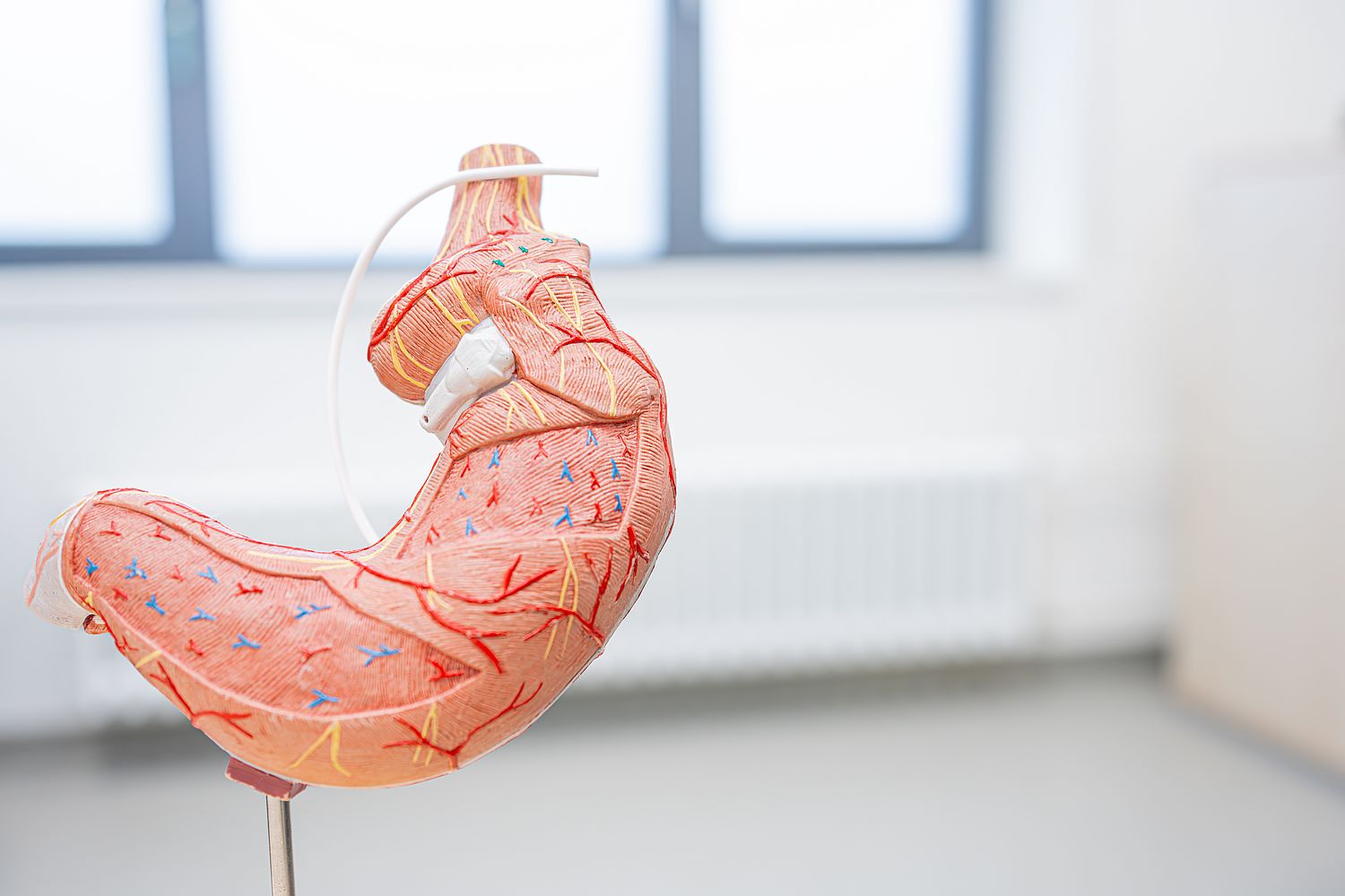 image.properties.alt