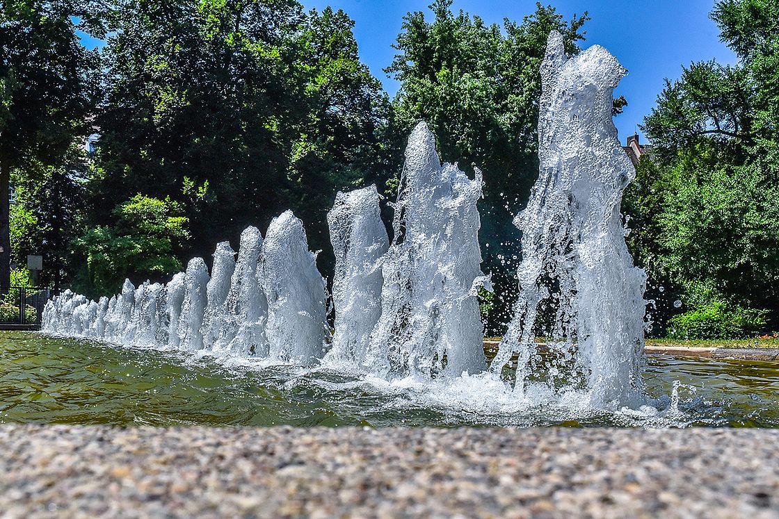 Sommer im Karlsruher Zoo