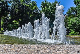 Sommer im Karlsruher Zoo